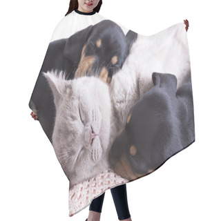 Personality  Kitten And Puppies Hair Cutting Cape