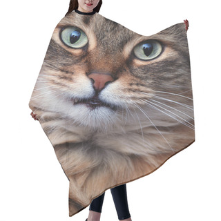 Personality  Kitty Hair Cutting Cape