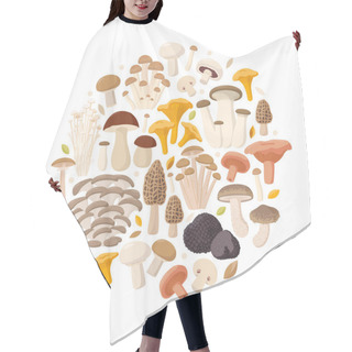 Personality  Mushrooms Collection Of Vector Flat Illustrations Isolated On White In Round. Cep, Chanterelle, Honey Agaric, Enoki, Morel, Oyster Mushrooms, King Oyster, Shimeji, Champignon, Shiitake, Black Truffle Hair Cutting Cape