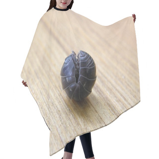 Personality  Roly-poly Hair Cutting Cape
