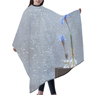 Personality  Blue Crocus Flowers On Book Hair Cutting Cape