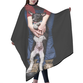 Personality  Cropped View Of Woman In Jeans With Mongrel Dog In Collar On Hind Legs Isolated On Black Hair Cutting Cape