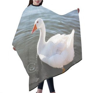 Personality  Close Up White Goose In The Lake Hair Cutting Cape
