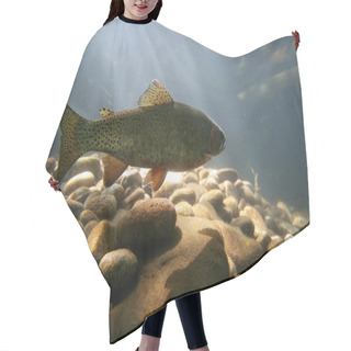 Personality  Trout Fish Swimming Hair Cutting Cape