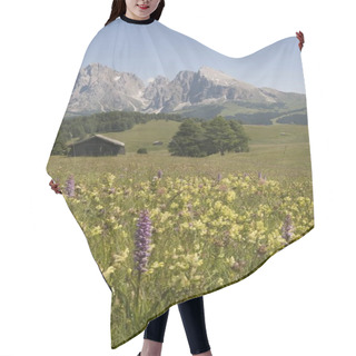 Personality  Beautiful Mountains And Green Field  Hair Cutting Cape
