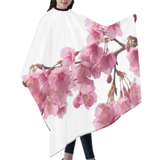 Personality  Pink Cherry Blossom Sakura Hair Cutting Cape