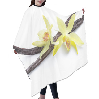 Personality  Dried Vanilla Fruits And Orchid Vanilla Flower Isolated On White Background. Hair Cutting Cape