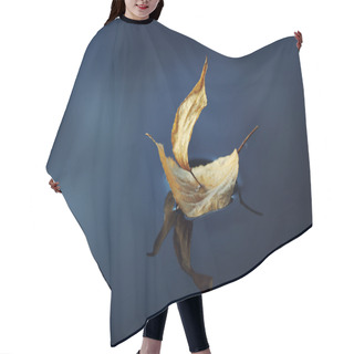 Personality  Leaf Ship In Blue Water Hair Cutting Cape