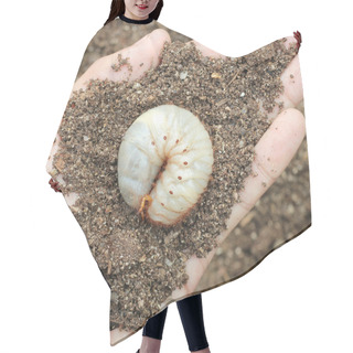 Personality  Image Of Grub Worms In The Human Hand. Hair Cutting Cape