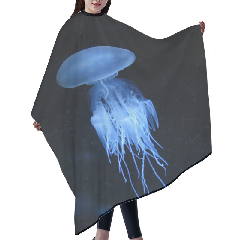 Personality  Jellyfish Hair Cutting Cape