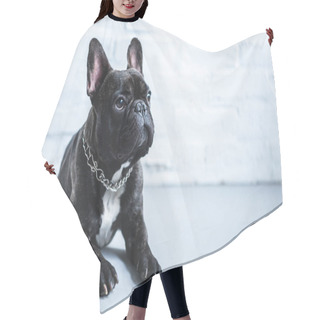 Personality  Dog Hair Cutting Cape
