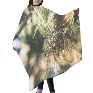 Personality  Pine Tree Branch Hair Cutting Cape