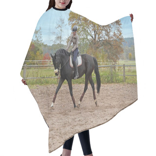 Personality  Black Horse And Rider Training On A Riding Ground In Bavaria Hair Cutting Cape