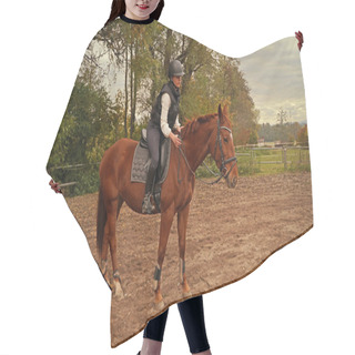 Personality  Training With The Red-brown Oldenburg Mare On A Riding Arena In Autumn Hair Cutting Cape