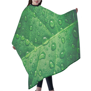 Personality  Green Leaf With Waterdrops After Rain Hair Cutting Cape