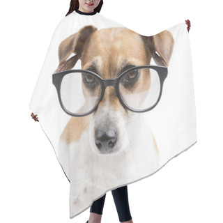 Personality  Pretty Clever Dog Stylish Reading Hair Cutting Cape