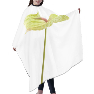Personality  Green Anthurium Isolated Hair Cutting Cape
