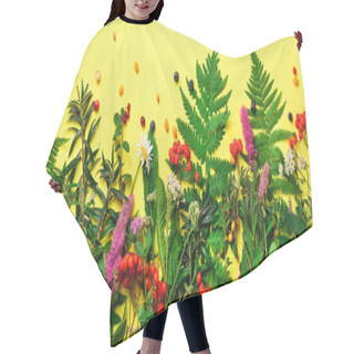 Personality  Wild Healing Herbs On Pastel Yellow Background. Alternative Medicine Concept, Holistic Approach. Top View, Copy Space, Flat Lay. Hair Cutting Cape