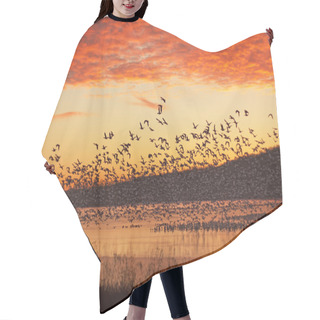 Personality  Snow Geese Flying At Sunrise Hair Cutting Cape