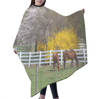 Personality  Horses In The Farm Hair Cutting Cape