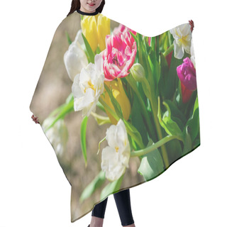Personality  In The Garden's Embrace, Tulips Flourish, Their Colors Vibrant Under The Caress Of The Morning Sun Hair Cutting Cape
