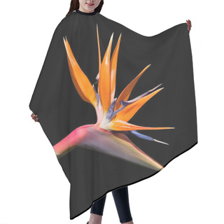 Personality  Bird Of Paradise Flower Hair Cutting Cape