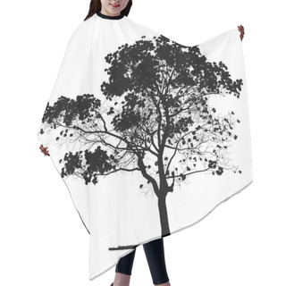 Personality  Vector Drawing Of The Tree - Detailed Vector Hair Cutting Cape