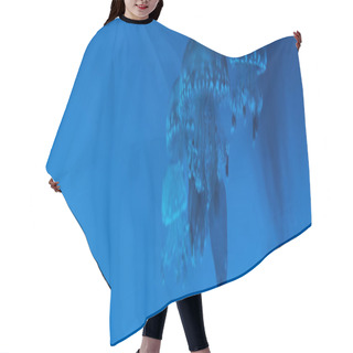 Personality  Panoramic Shot Of Spotted Jellyfishes On Blue Background Hair Cutting Cape