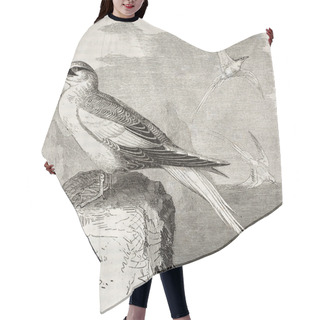 Personality  Red-billed Tropicbird Hair Cutting Cape