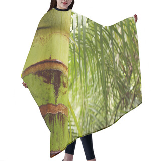 Personality  Tropical Forest Hair Cutting Cape