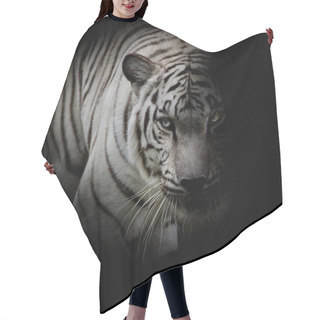 Personality  White Tiger Isolated On Black Background Hair Cutting Cape