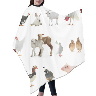 Personality  Livestock On A White Background Hair Cutting Cape