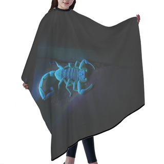 Personality  Scorpion Under Ultraviolet Light 2 Hair Cutting Cape