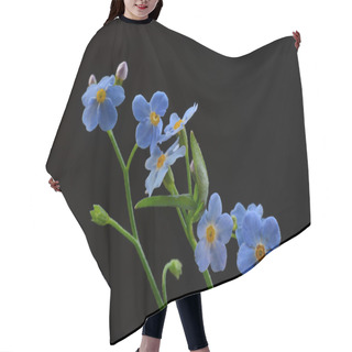Personality  Forget Me Not Flower Hair Cutting Cape