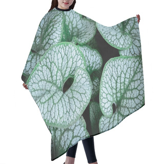 Personality  Minimalist Composition With Leaves Of Brunnera Macrophylla Hair Cutting Cape