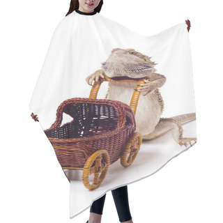 Personality  Bearded Dragon Pushing Wicker Baby Carriage Hair Cutting Cape