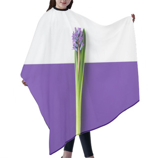 Personality  Top View Of Hyacinth Flowers On Halved Purple And White Surface Hair Cutting Cape