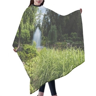 Personality  Selective Focus Of Green Grass And Plants Near Pond With Fountain  Hair Cutting Cape