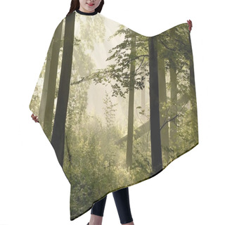 Personality  Spring Forest Hair Cutting Cape