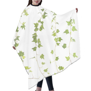 Personality  Ivy Leaves Isolated On A White Background Hair Cutting Cape