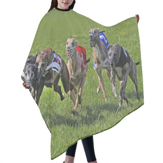 Personality  Whippet Dogs Running, Racing At Track   Hair Cutting Cape