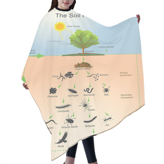 Personality  The Soil Food Web Hair Cutting Cape