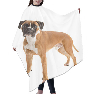 Personality  Fawn-colored Boxer Hair Cutting Cape