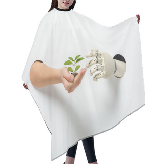 Personality  Cropped Image Of Woman And Robot Holding Green Plant Through Holes On White Hair Cutting Cape