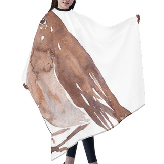 Personality  Watercolor Drawing Bird Hair Cutting Cape