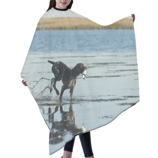 Personality  Hunting Dog Hair Cutting Cape