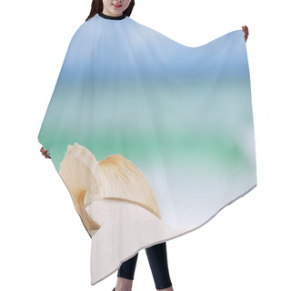 Personality  Nautilus Paper Shell Hair Cutting Cape