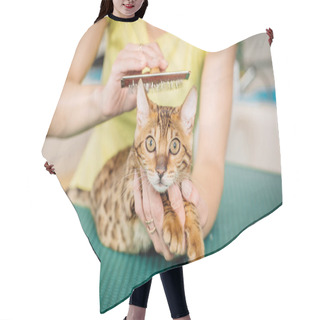 Personality  Grooming Cat With Tool For Shedding Hair.  Hair Cutting Cape