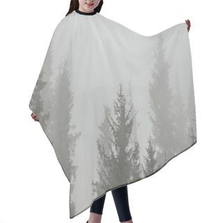 Personality  Trees In The Fog Hair Cutting Cape
