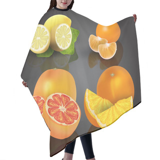 Personality  Set Of Citrus Fruits - Lemon, Orange, Grapefruit And Mandarin. Hair Cutting Cape